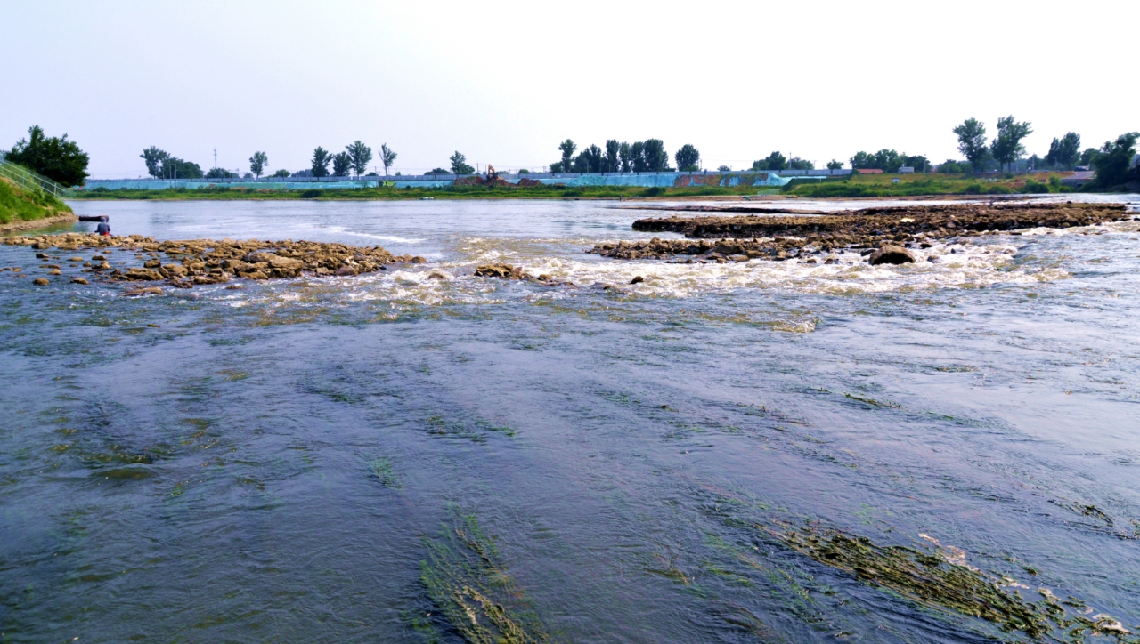 从宏观看,中国的崛起已是必然.但崛起的标志是什么?
