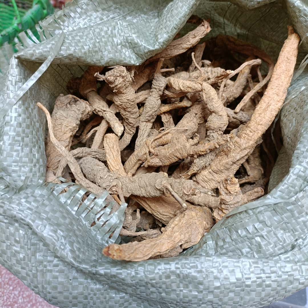 野生沙参,今年很少遇到,留了一些#中药材