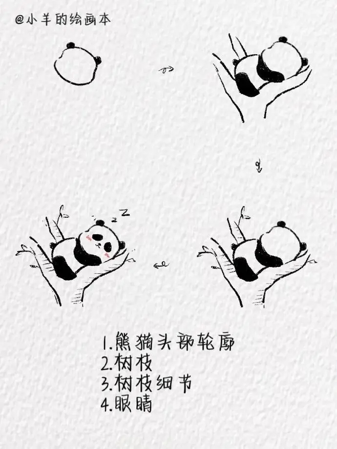 小熊猫会画吧