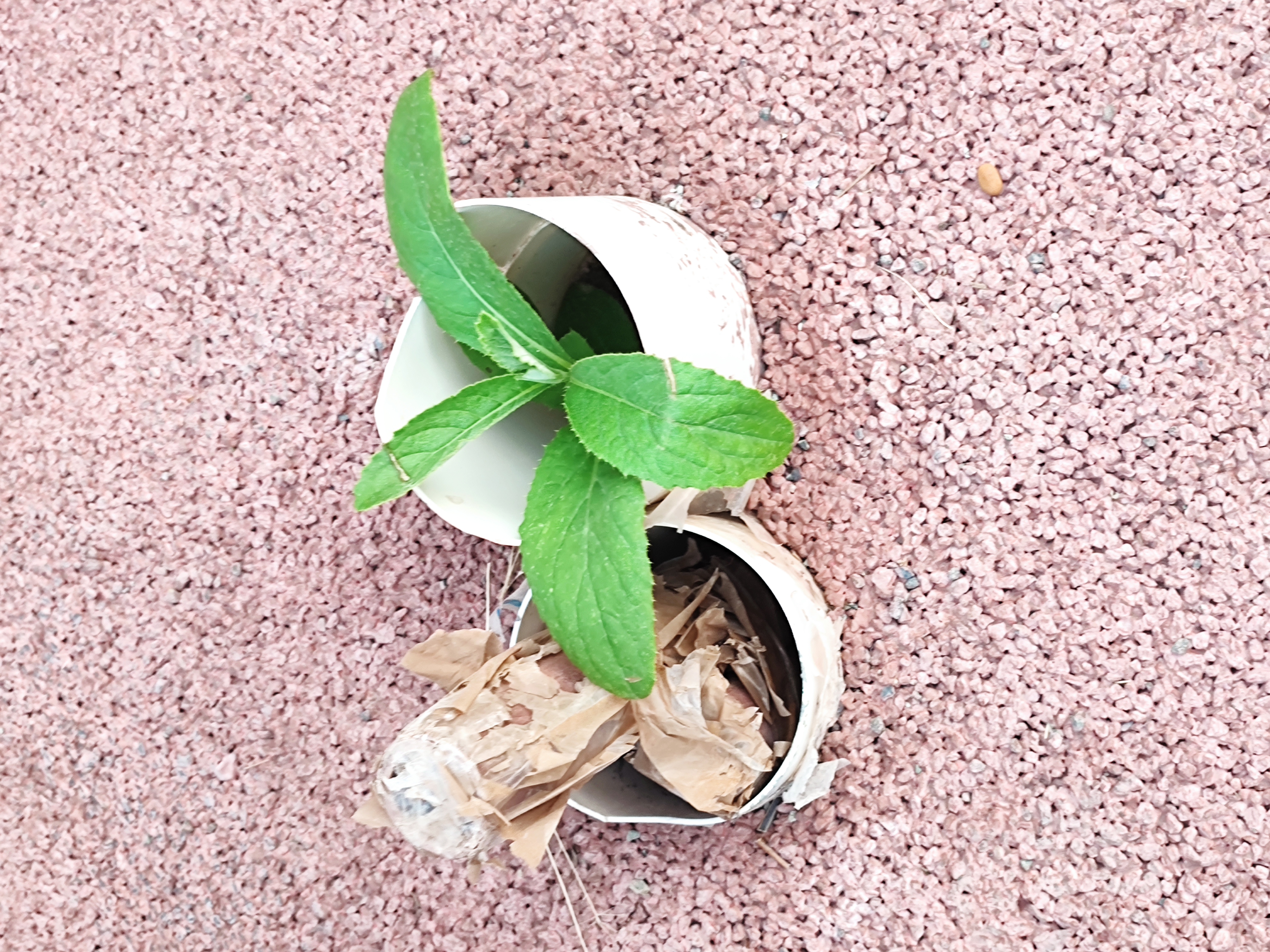 既然是脚选择的路,何不多走几部