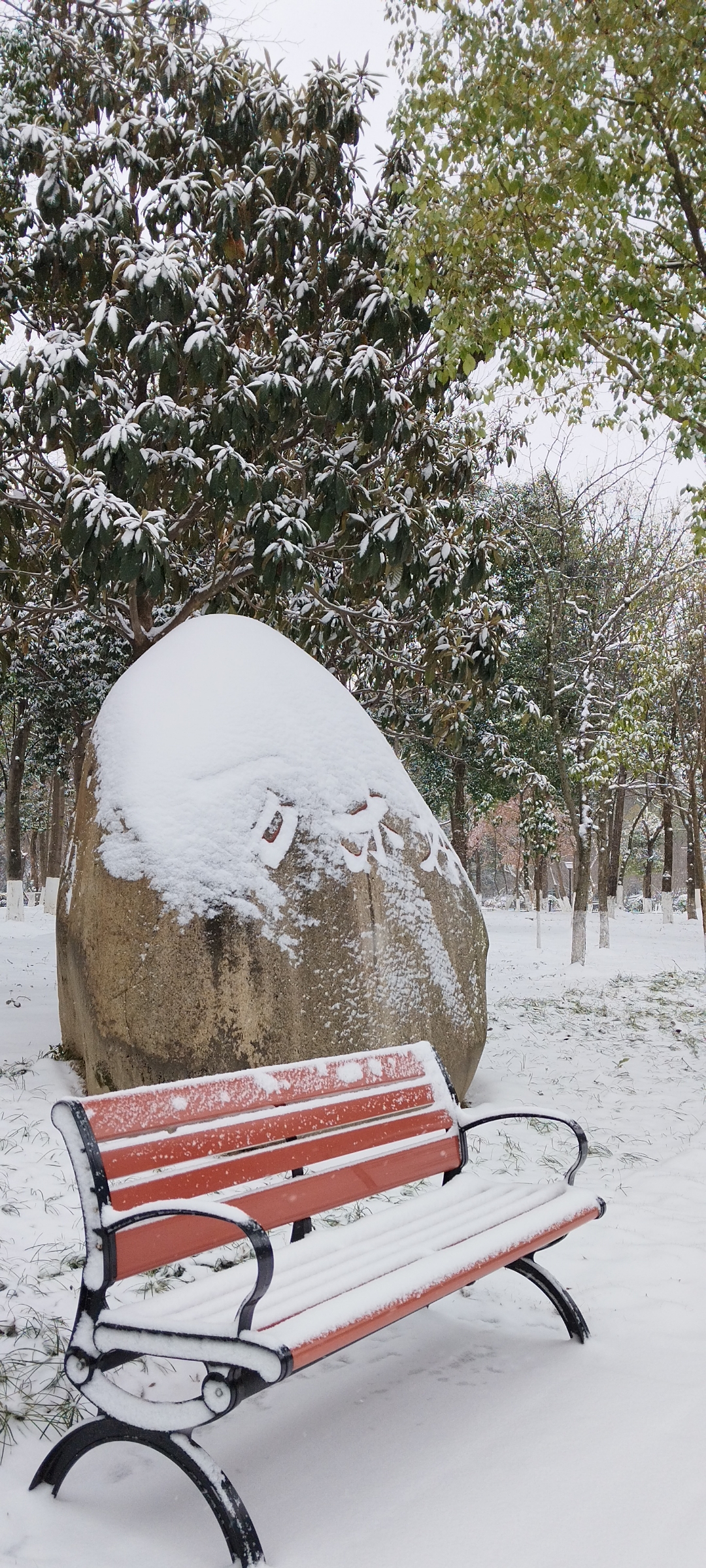 苏州大学雪景图片