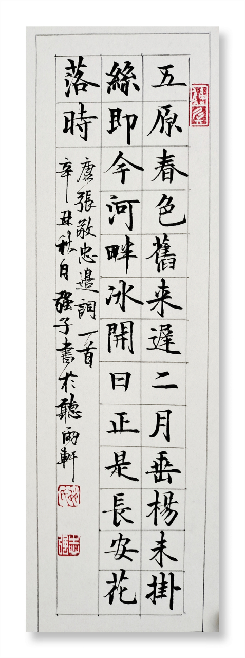 硬笔书法《边词》 边词  唐·张敬忠  五原春色旧来迟,二月垂杨未挂丝