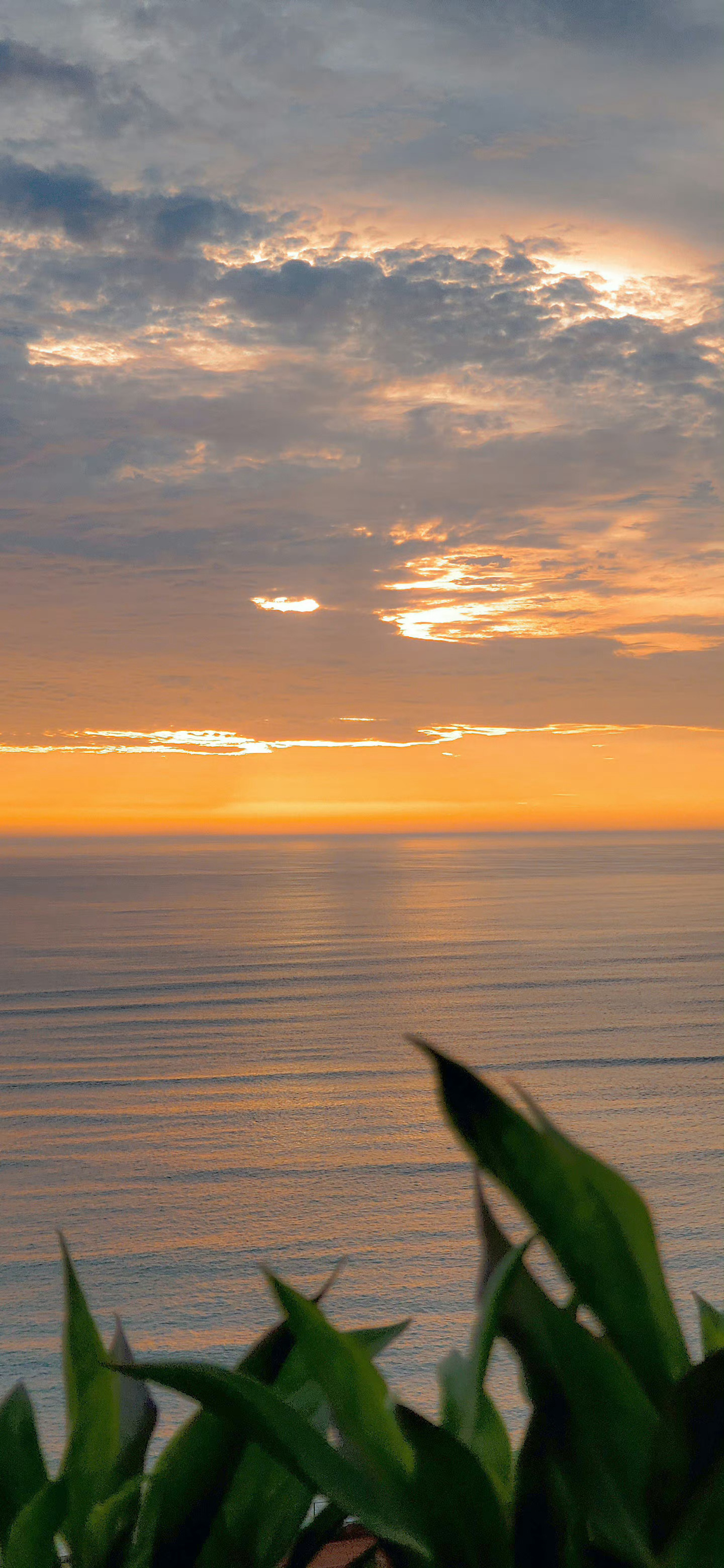 橘色系列,色彩壁纸