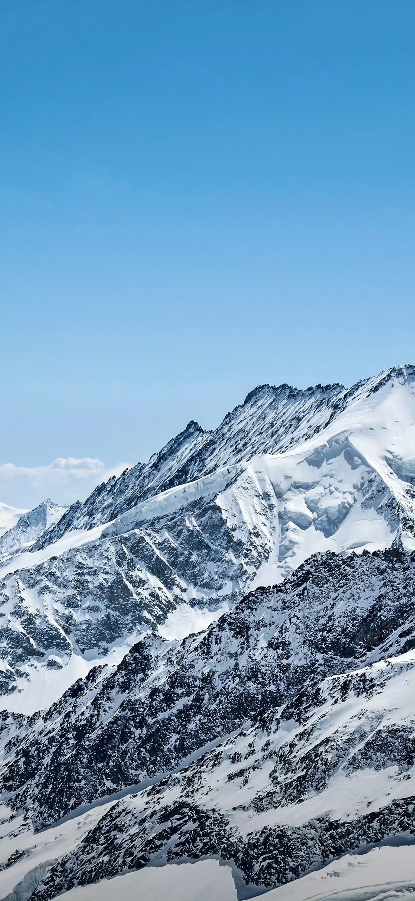 大山魏巍