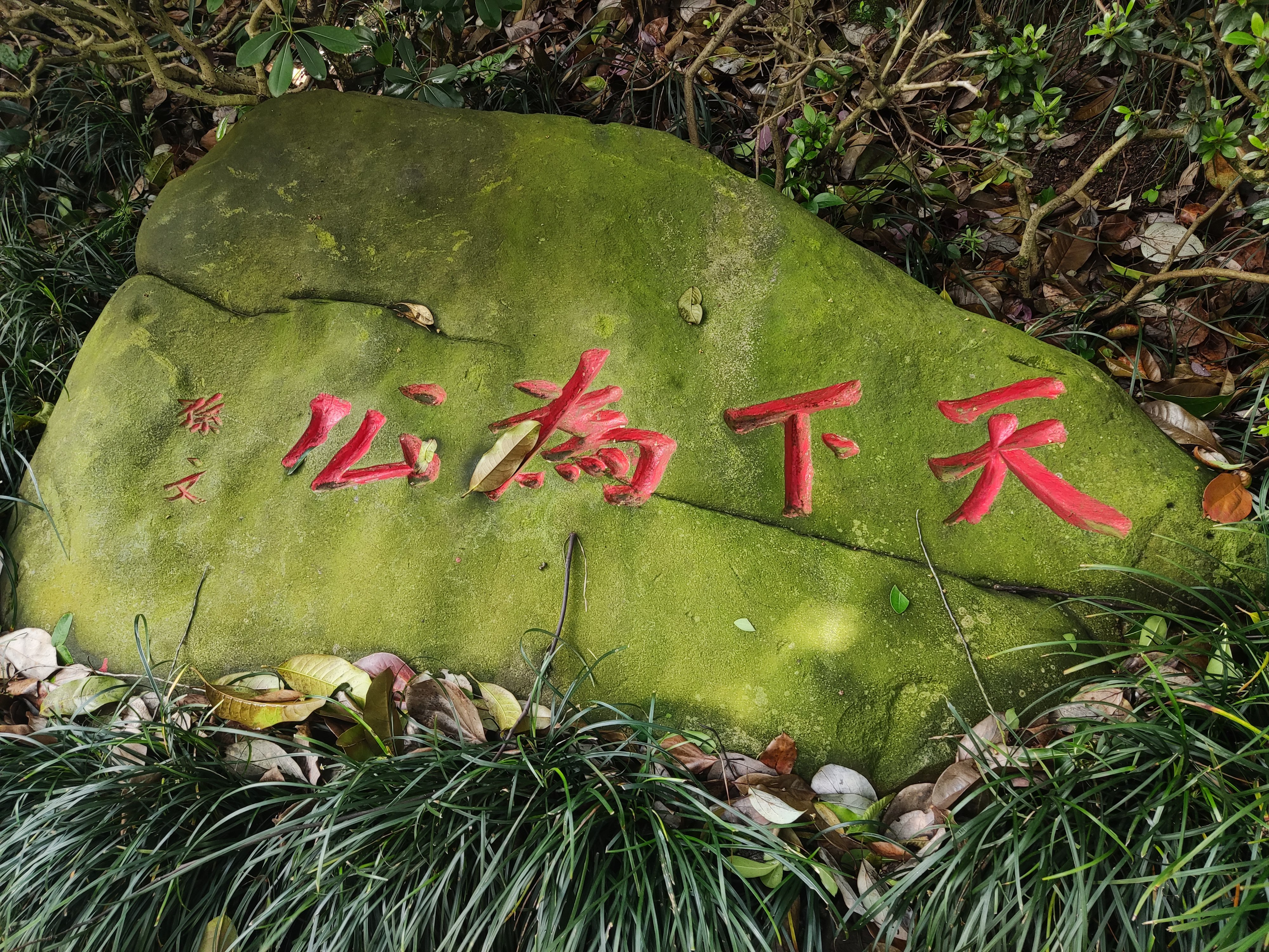 谷雨天下国宴酒图片