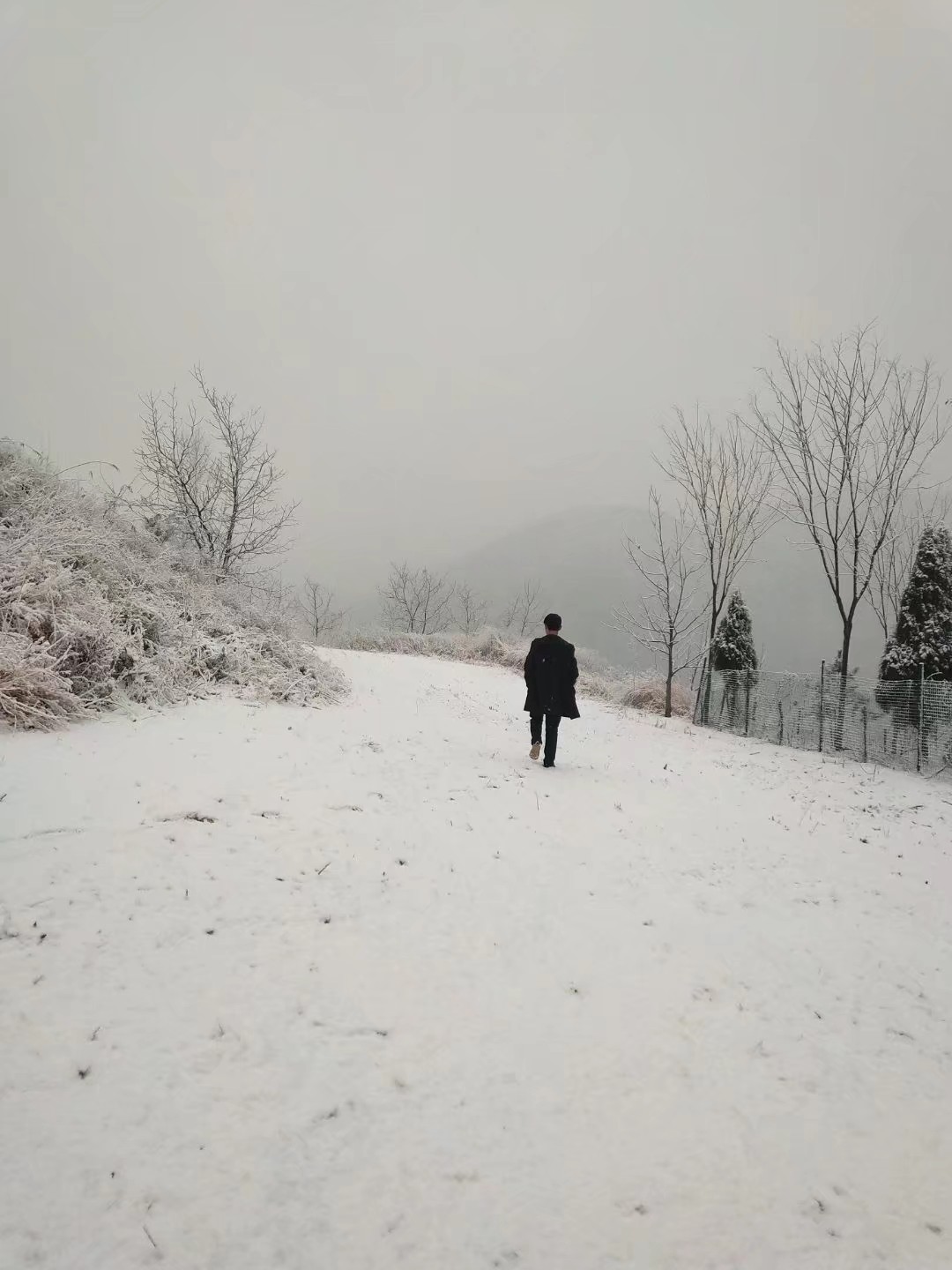 雪地里的背影图片