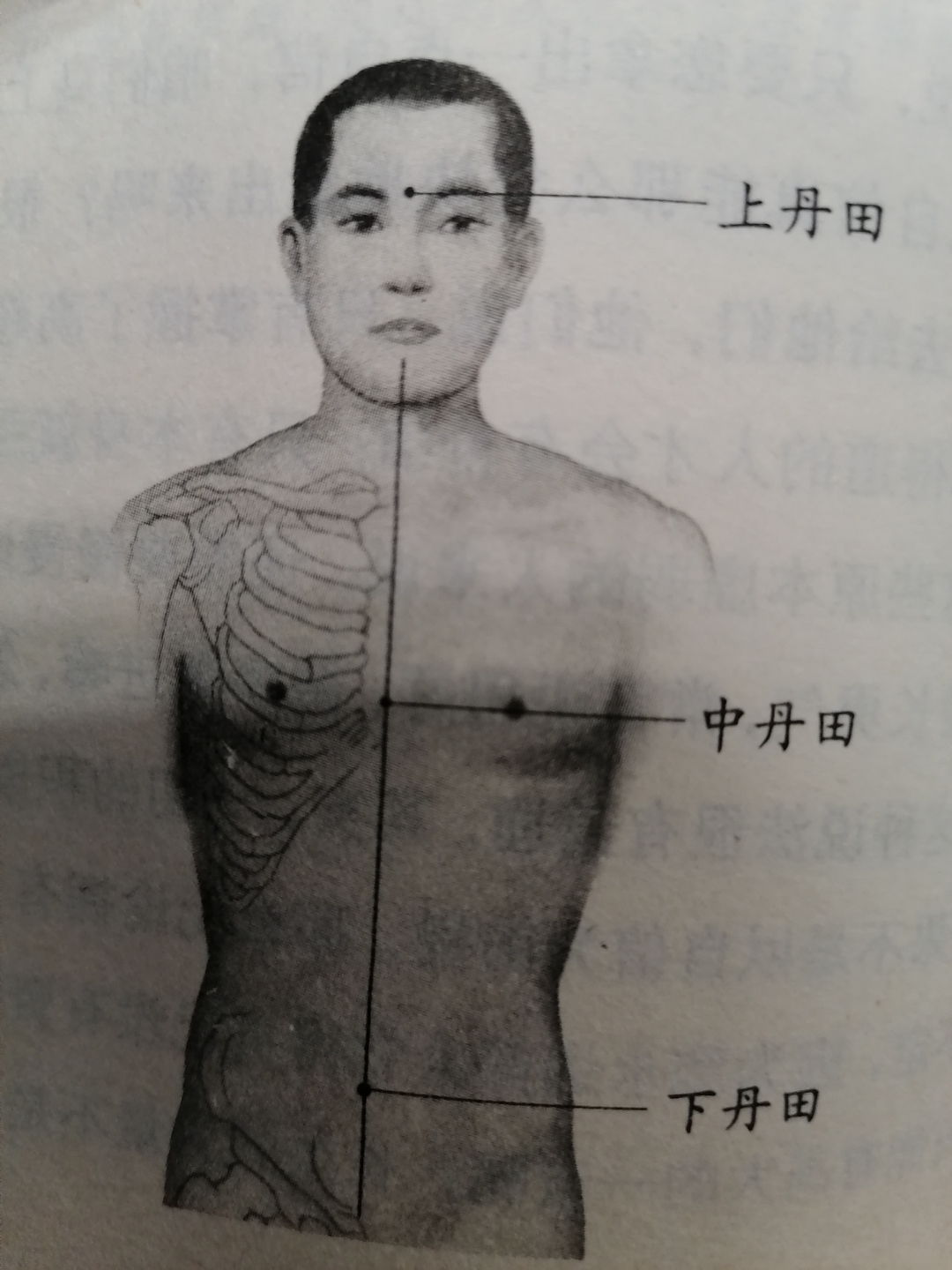 丹田的位置图片 人体图片