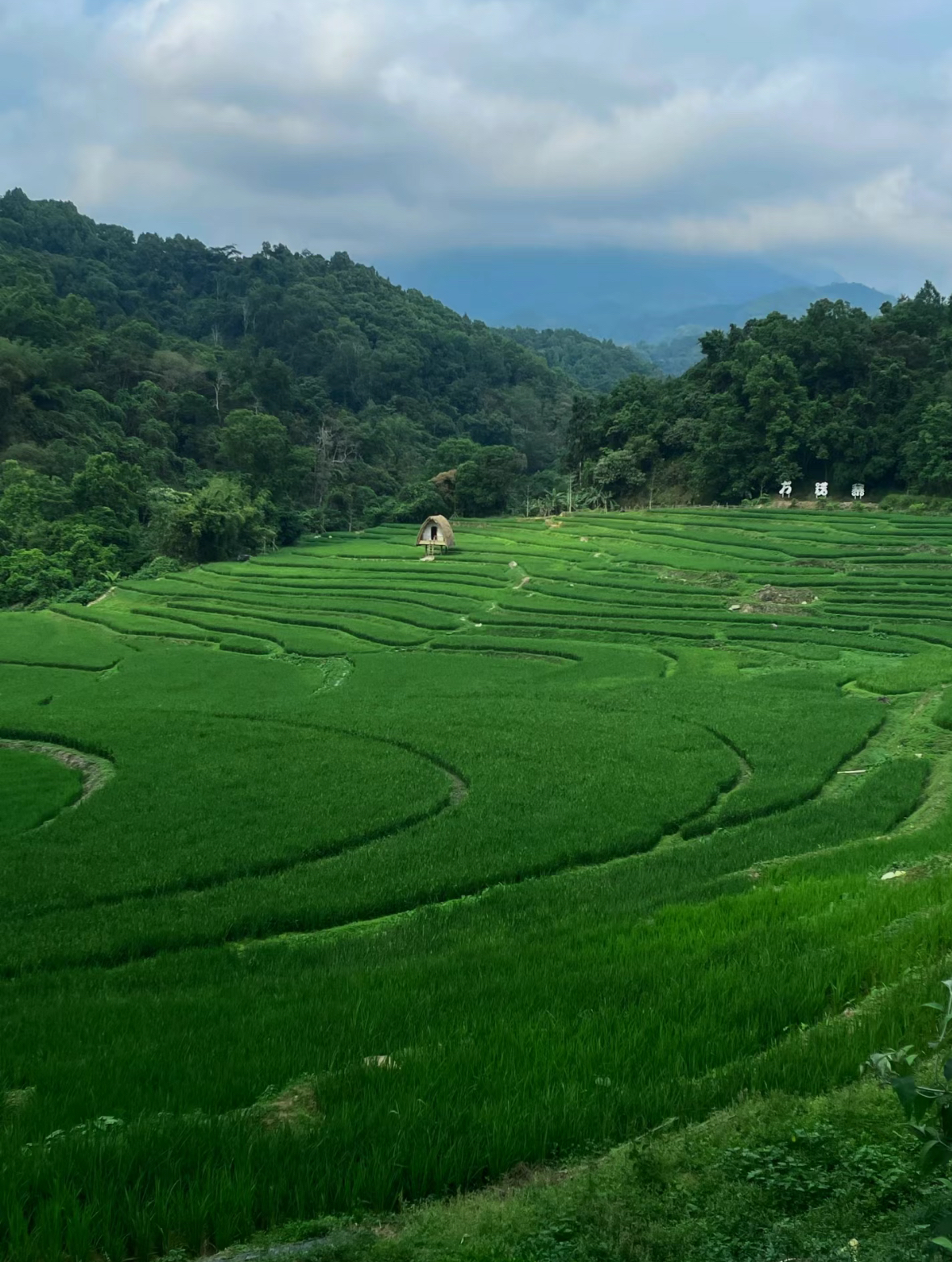 俄贤岭风景区是否营业图片