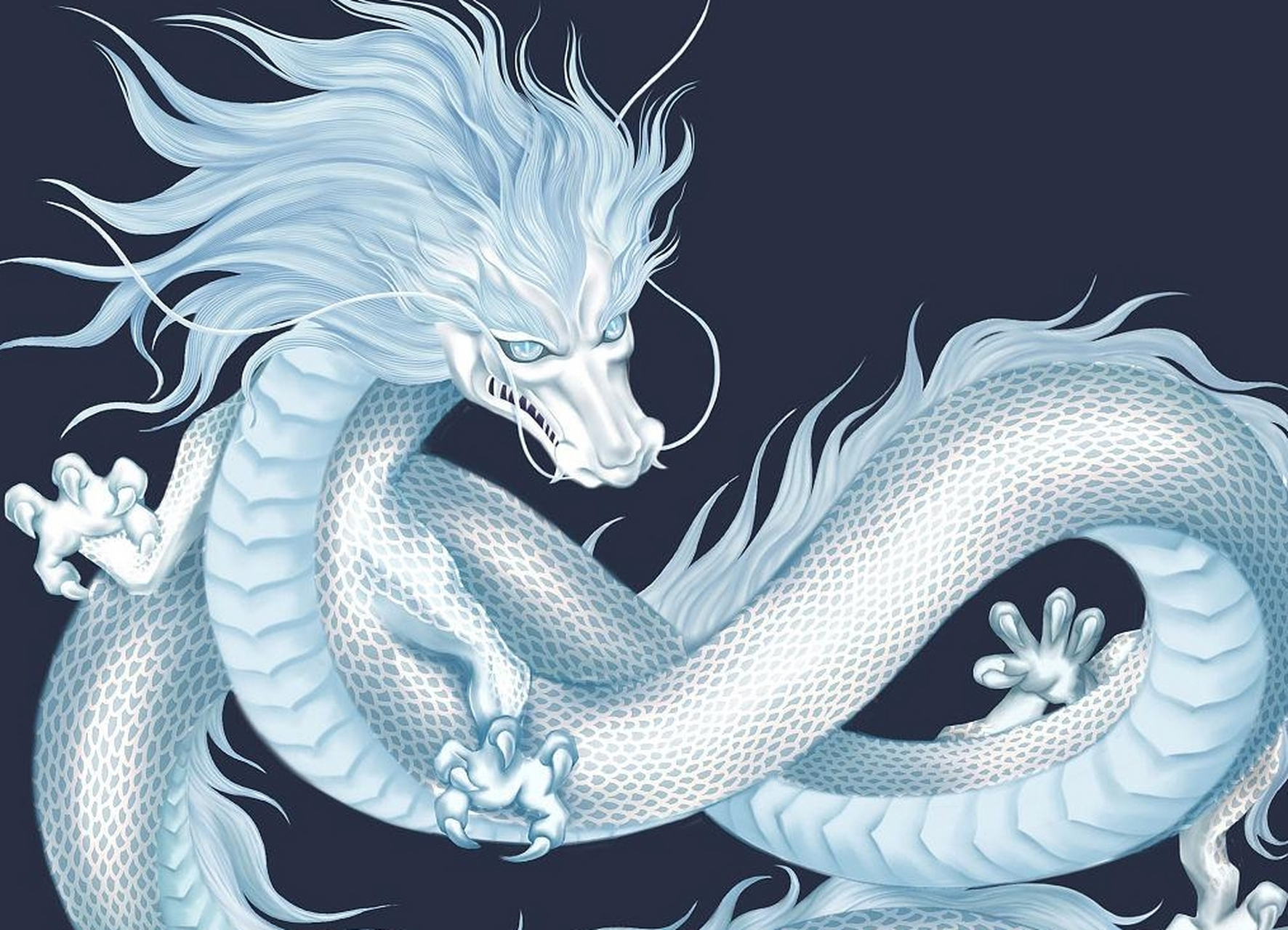 龙,是中华民族的图腾,也是神话传说中的奇异动物.