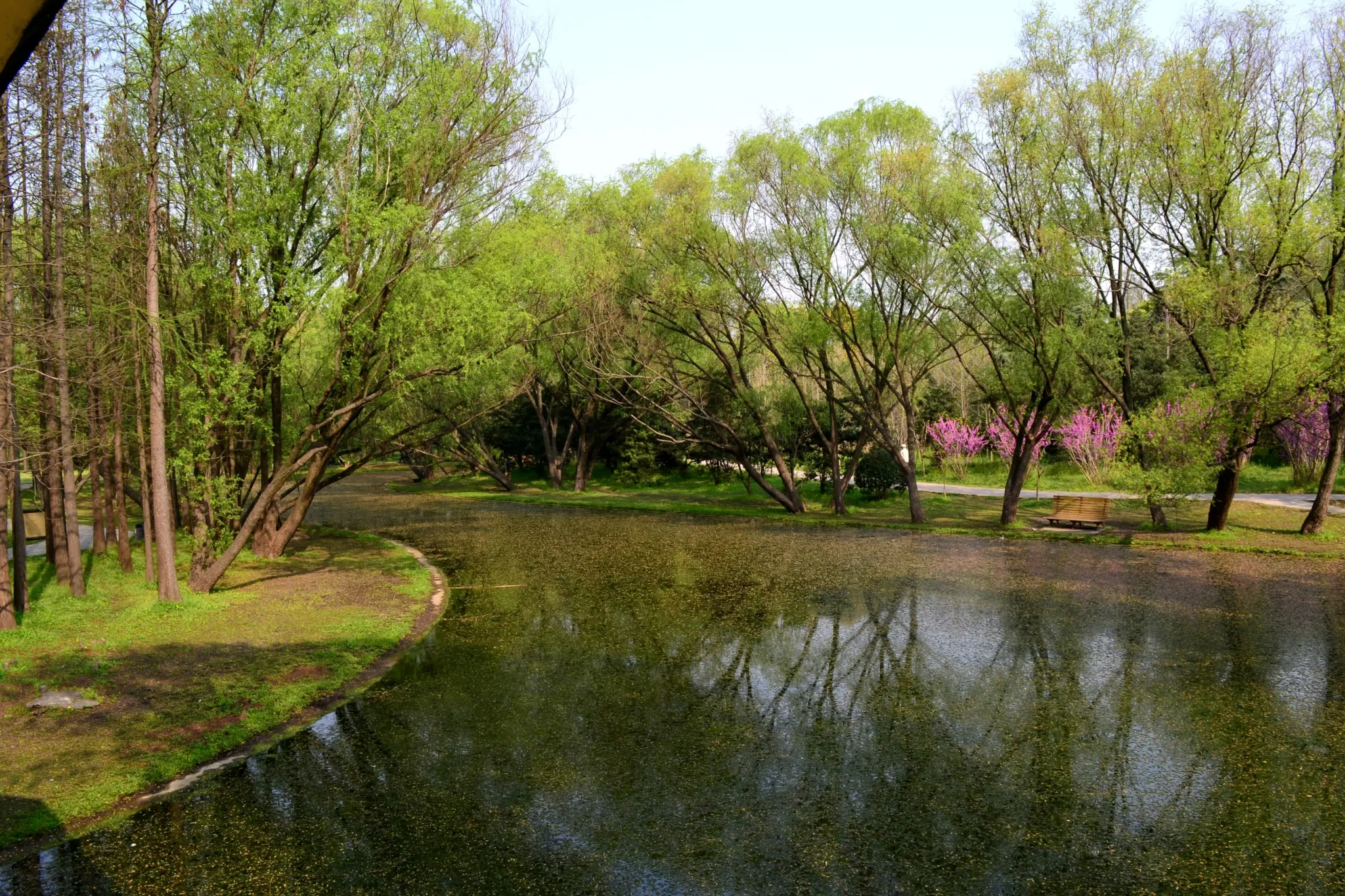 趁着春天春色正好,风景美如画,去春游踏青