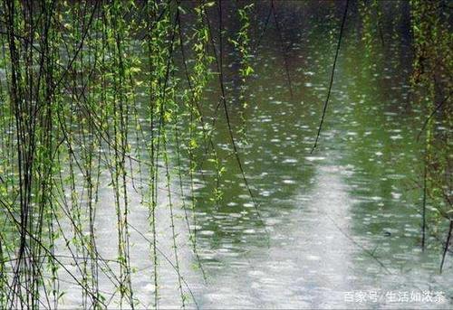 七绝 春雨十韵 刘成宏 一庚 雨滋杨柳翠枝倾