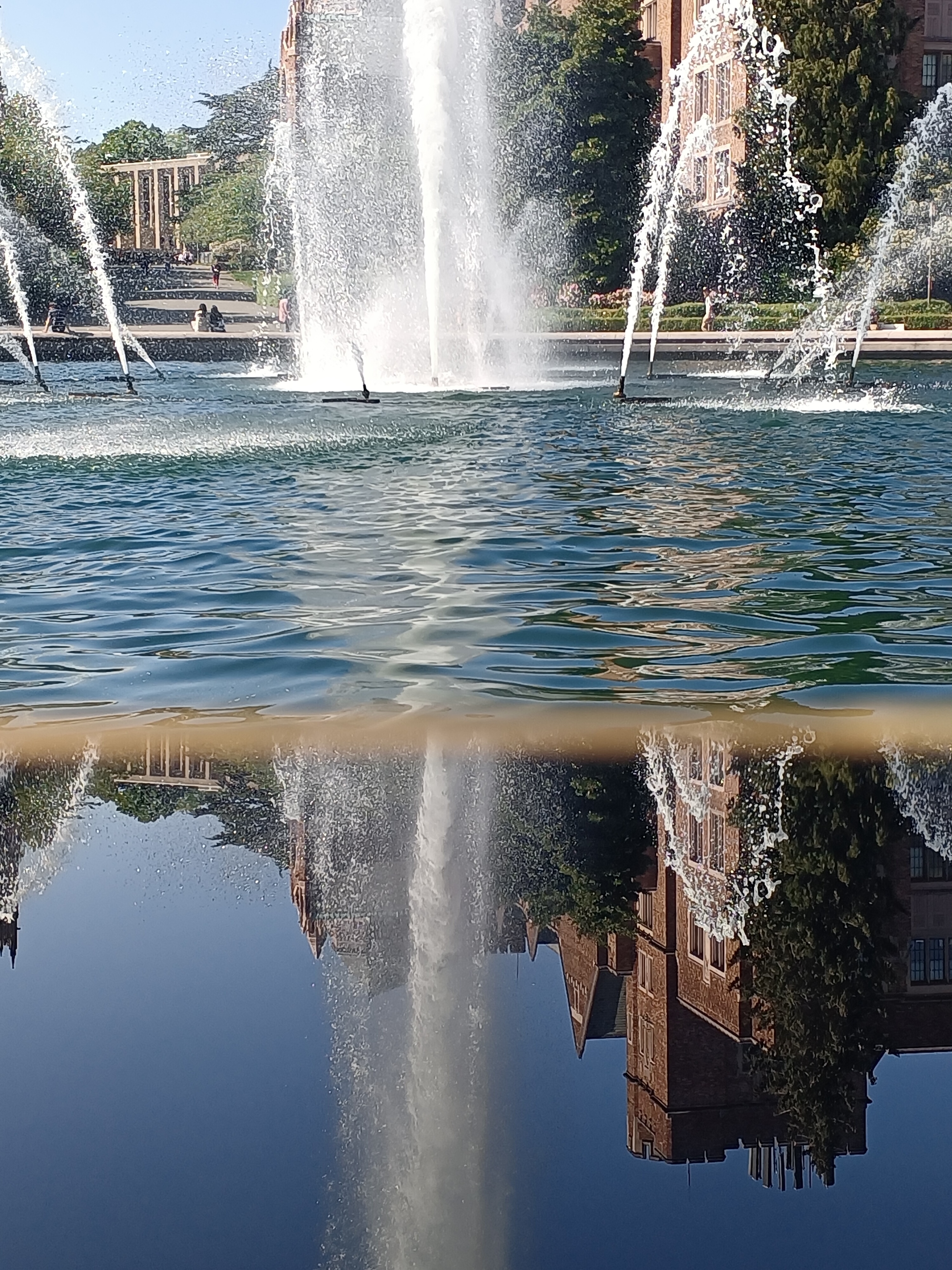 华盛顿大学校园喷水池