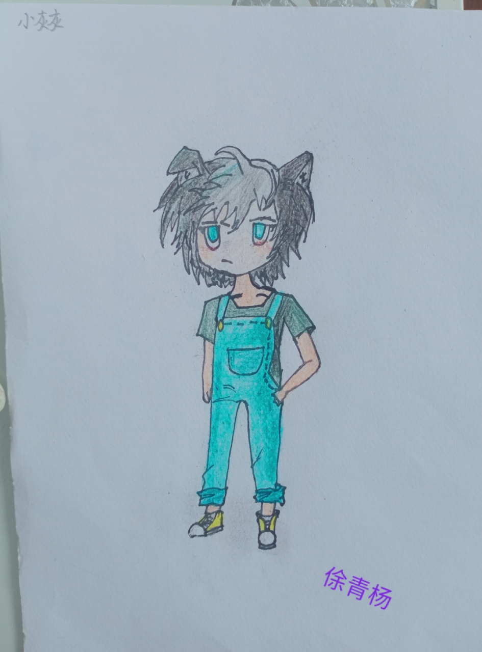 帅气的小灰灰长大后 十五年后的小灰灰