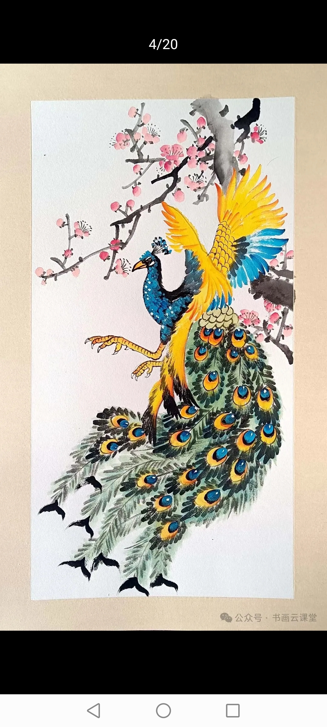 两只色彩绚丽的孔雀,羽毛蓝黄绿相间,尾巴蓬松如云朵,尾羽上的图案繁