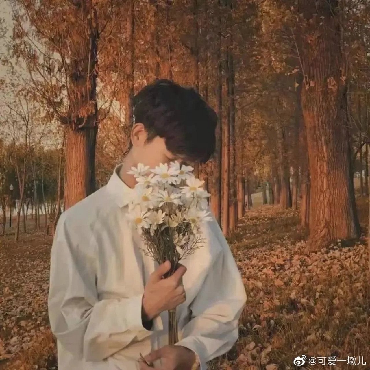 唯美情头(四 山中有雾,你是我的酒馆 林中有鹿,你说此生不换.