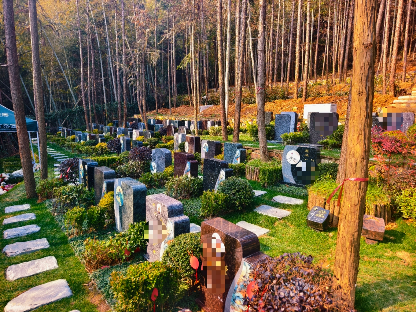 从选址到仪式,我们以传统为基,以现代为