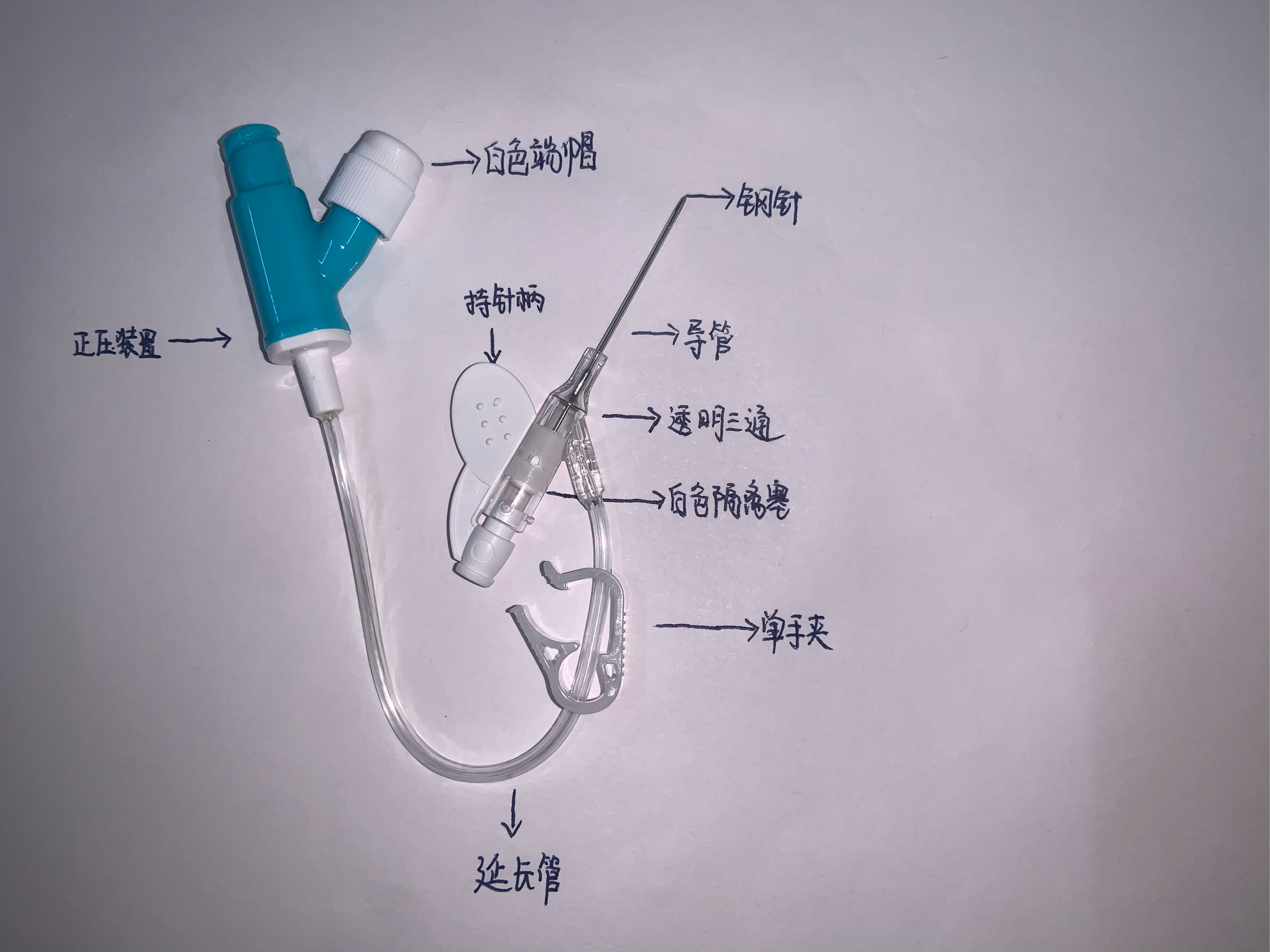 留置针鱼骨图图片