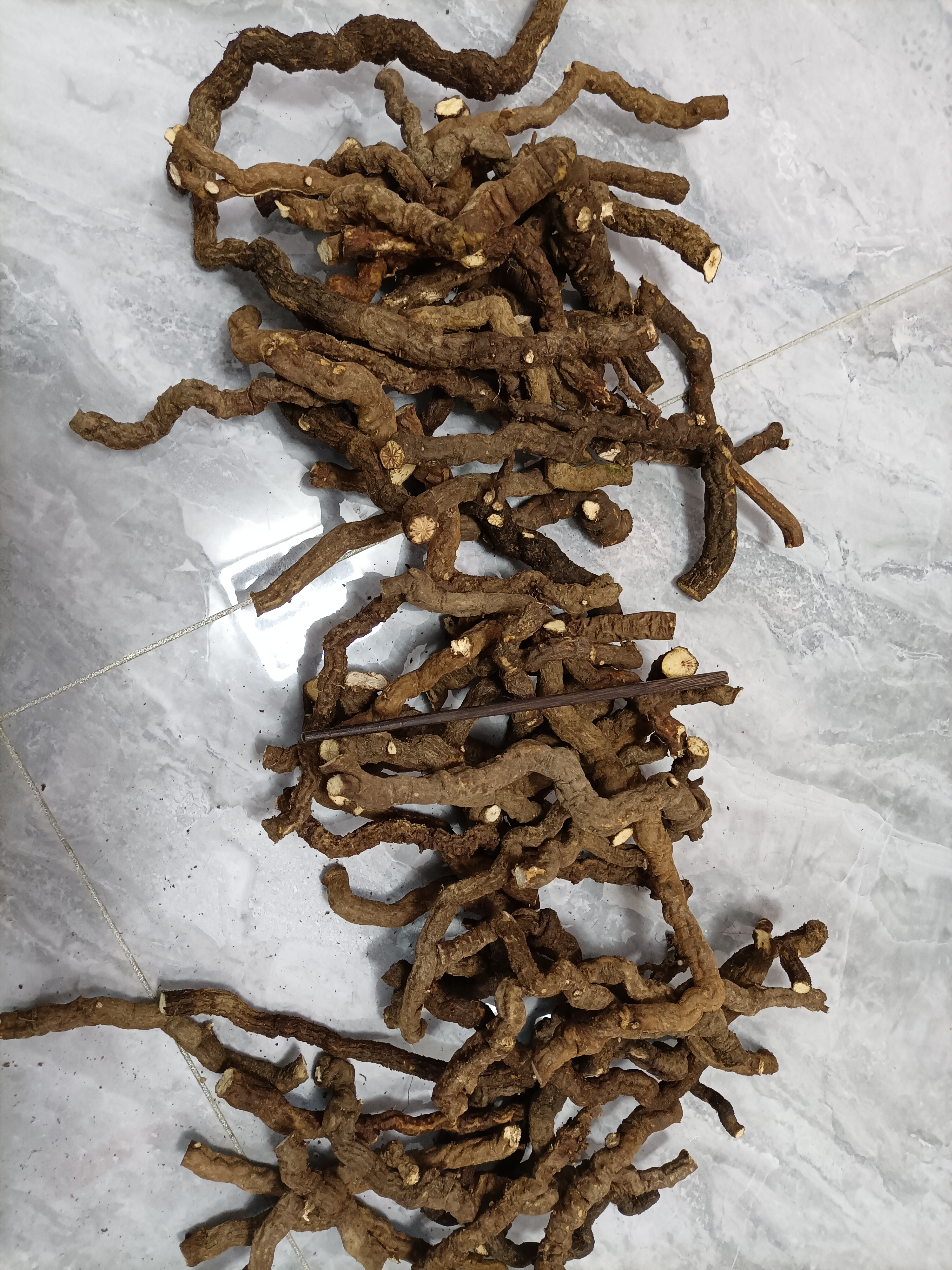 倪师防己黄芪汤里的防己,这是木防己,附近村民采挖的,药用价值很高