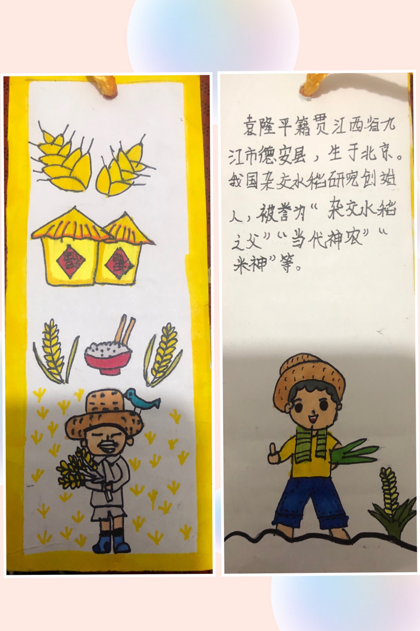 节约粮食书签