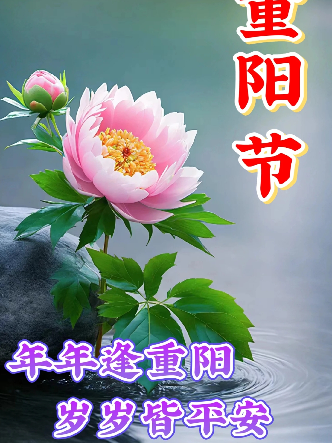 致敬奔跑在追梦路上的人