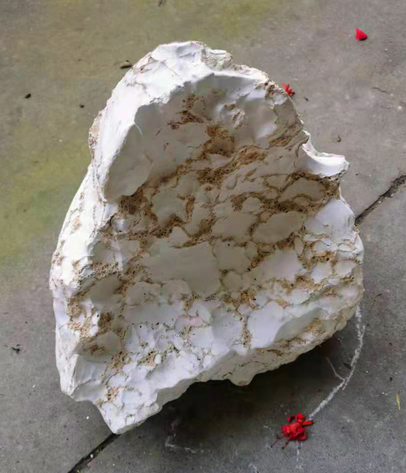 天然奇石藏瓷原石 白藏瓷 白瓷