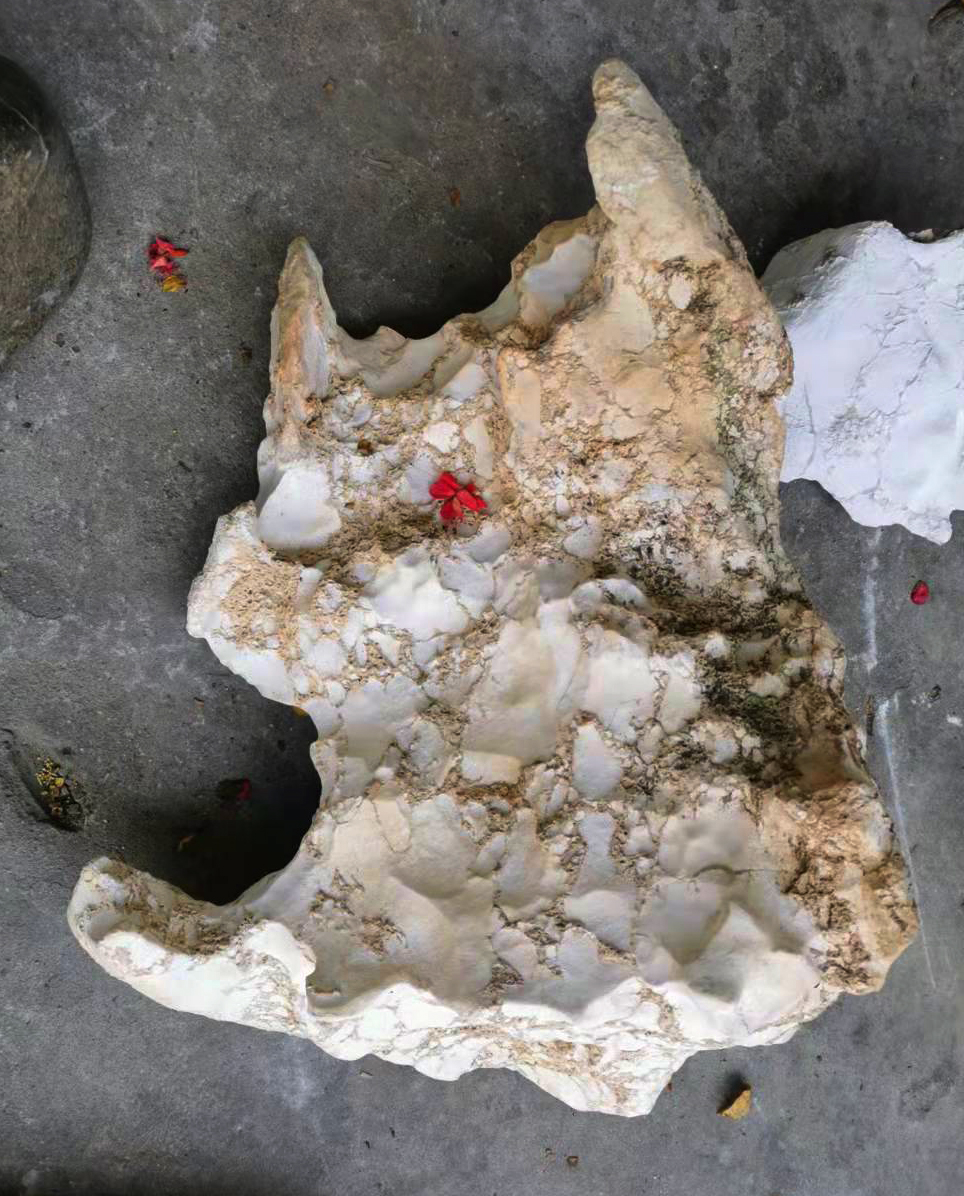 天然奇石藏瓷原石 白藏瓷 白瓷