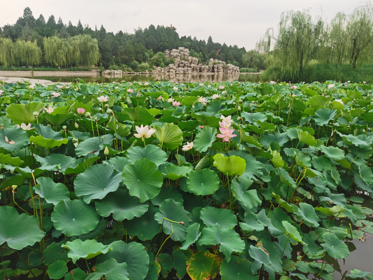 心,怎么能契入实相呢,永远是在轮回里转