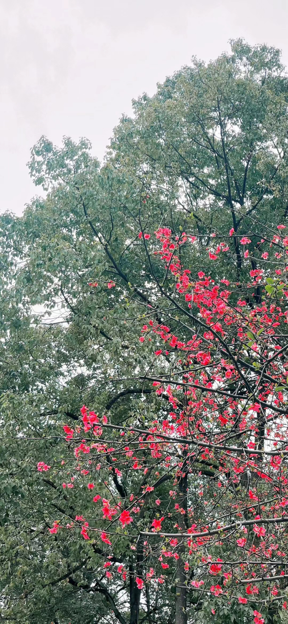 新的一周开始了,活力满满加油干.祝大家工作顺利,心情好[开心].