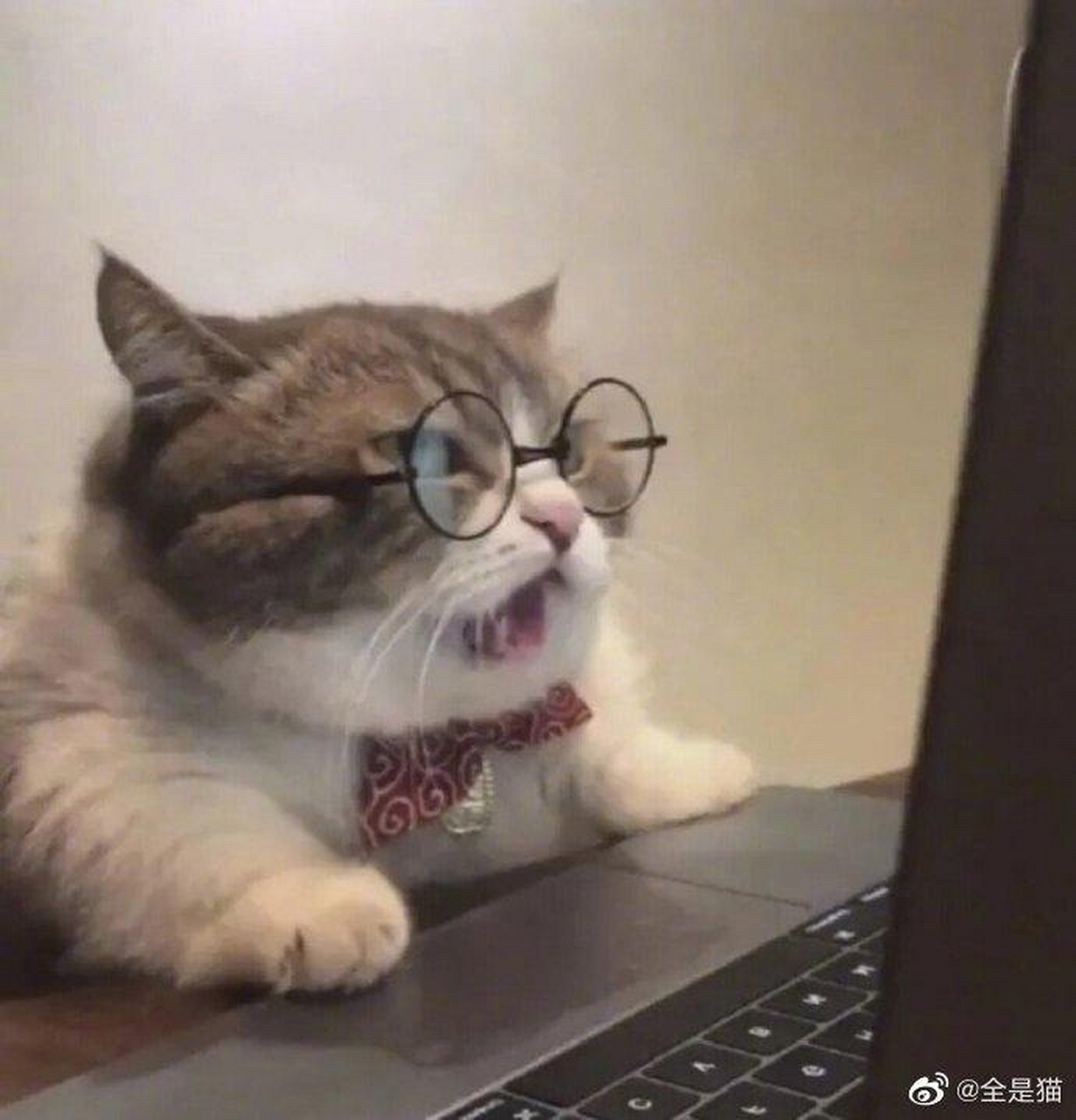 在低谷期～ 如果有人愿意把名字改成:xxx陪珂瑶度过低谷期 等我火了我