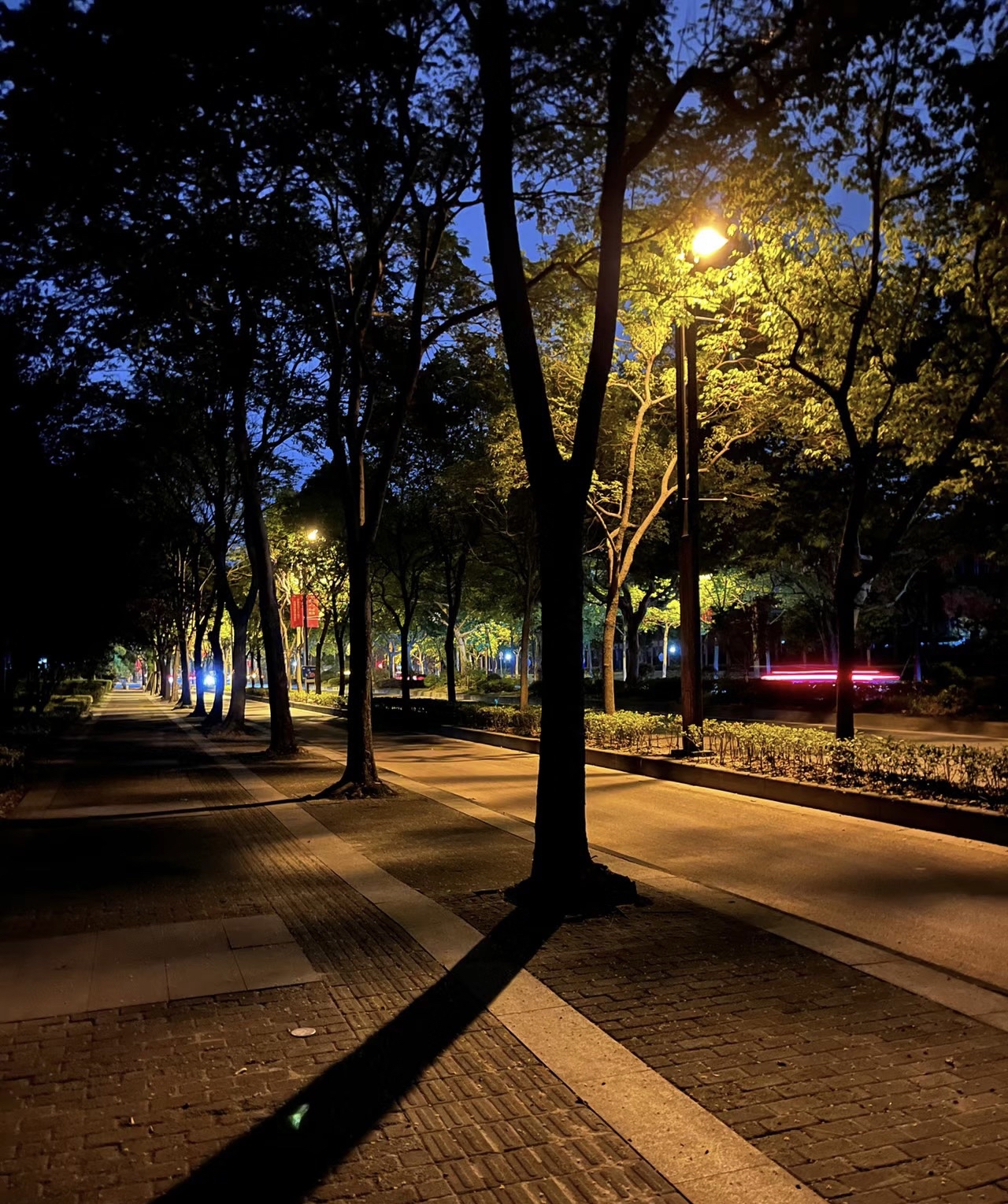 晚上夜景图片路边图片