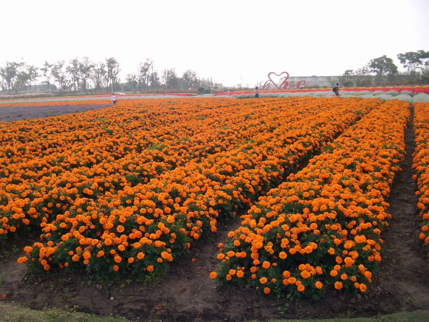 曾听一位毕业于沃顿沃学院的博士讲他的人生经历