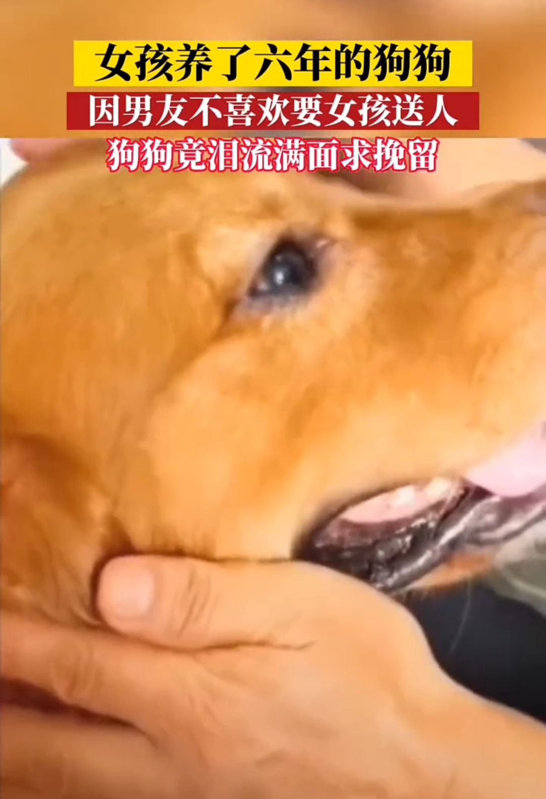 女生叫男生狗的含义_女生叫男生狗子是不是喜欢这个男生 女生叫男生狗的寄义
_女生叫男生狗子是不是喜好
这个男生（女生叫男生狗子意味着什么） 搜狗词汇