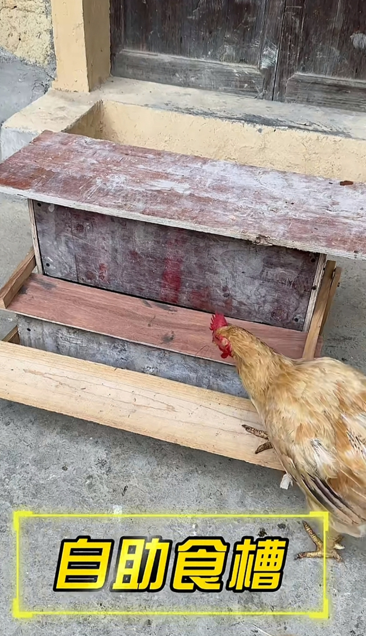 石槽不仅美观实用,还能有效防止麻雀偷吃.