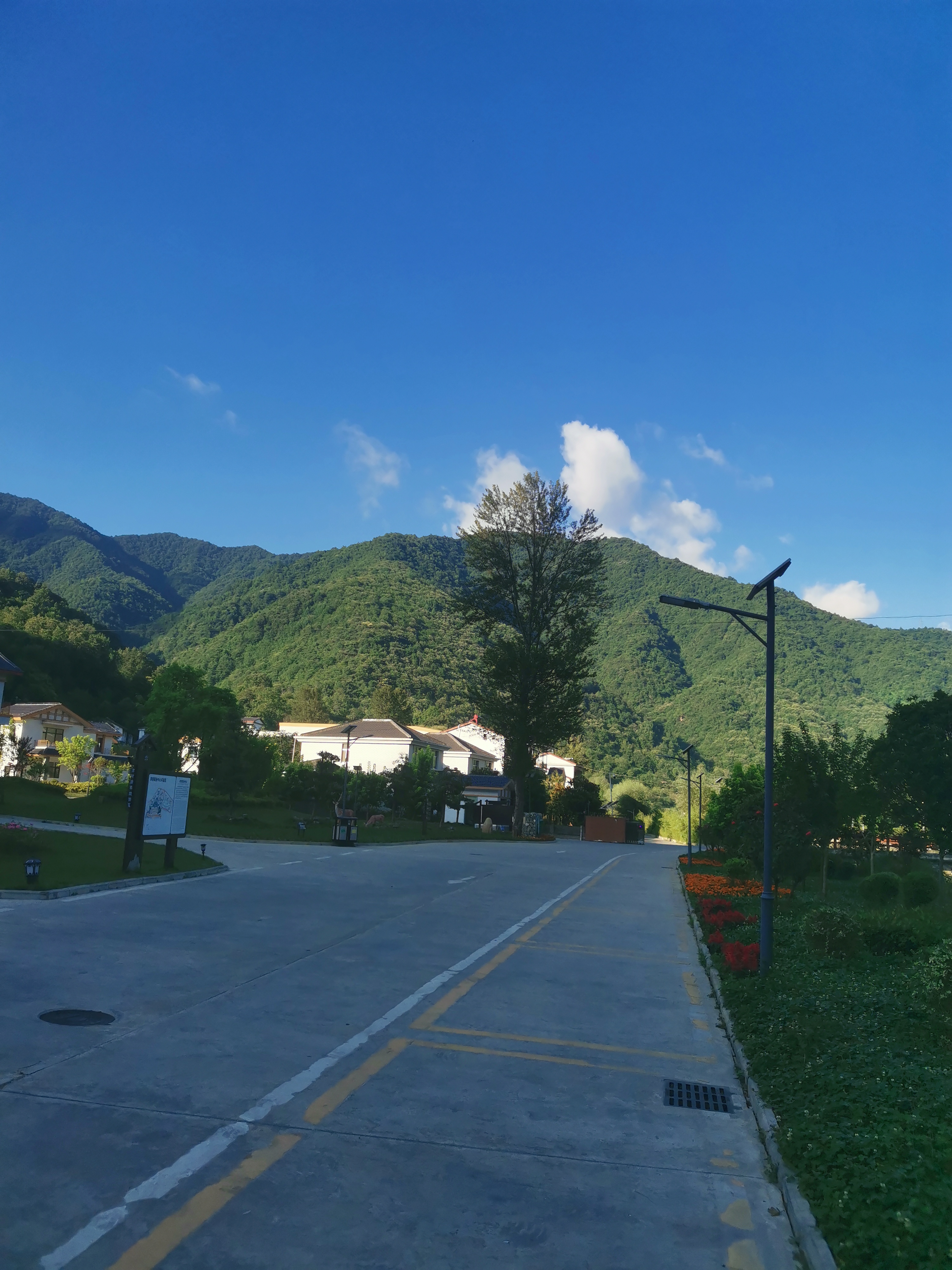 乡村的早晨,阳光明媚,空气清新