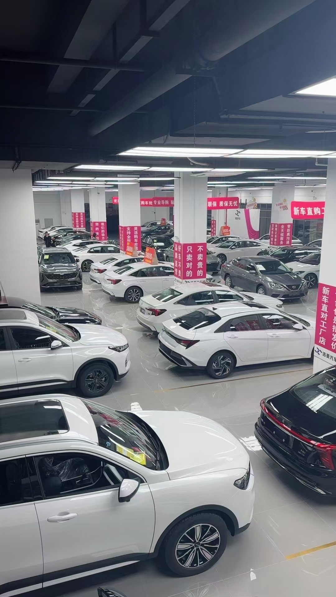 最动情的二个字:在不[微笑] 最感人的三个字:上