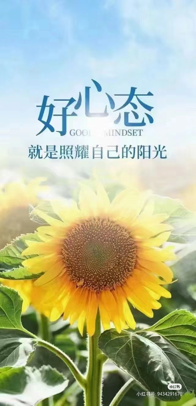 今天的心情,如同这明媚的日光,灿烂无比.