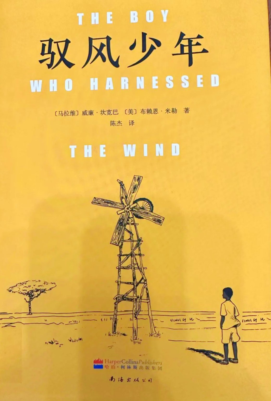 阅读效果反思# 《驭风少年》虽然是我和学员们一起选择的书,一起阅读