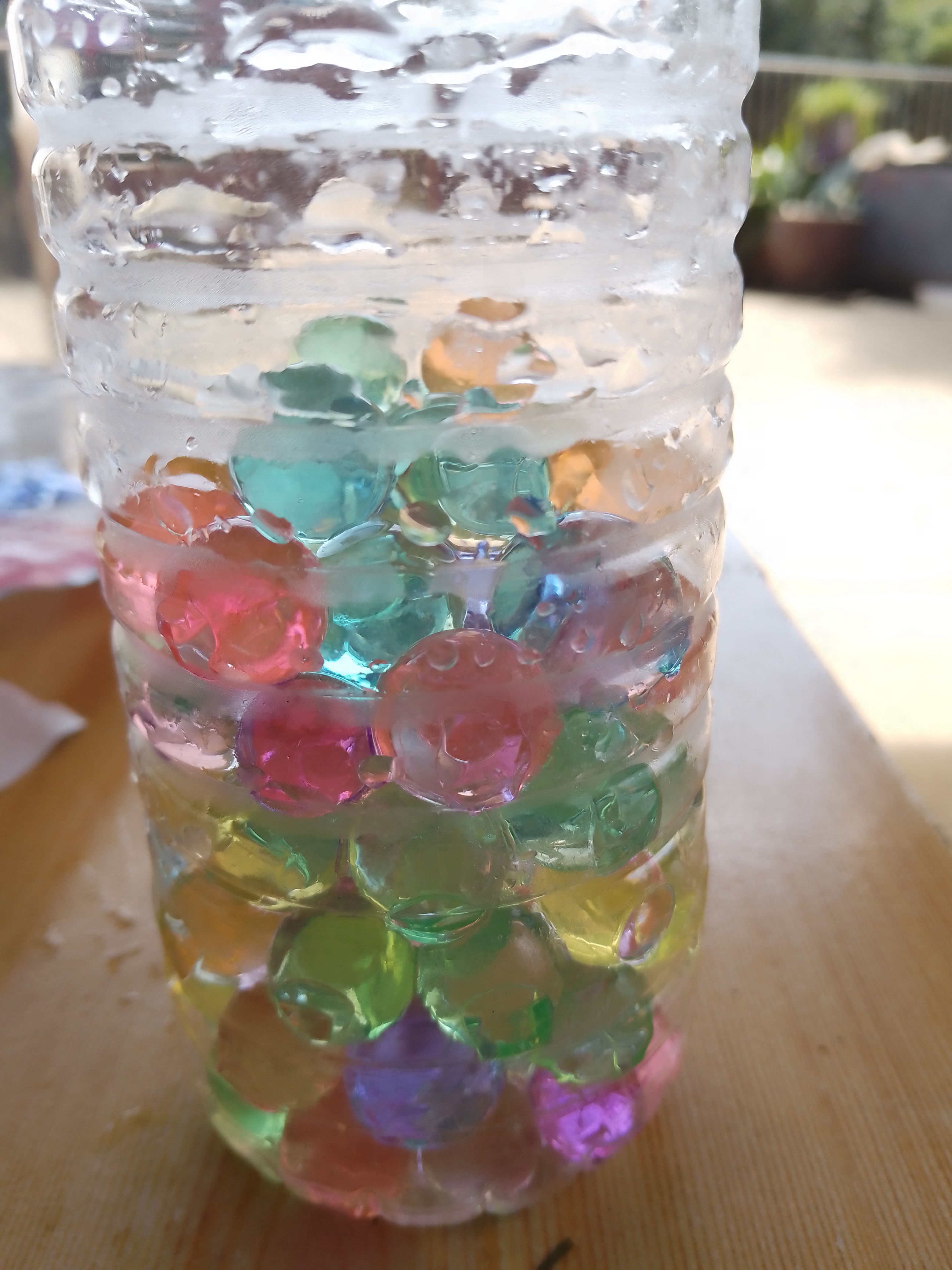 这是我养了两天的水宝宝