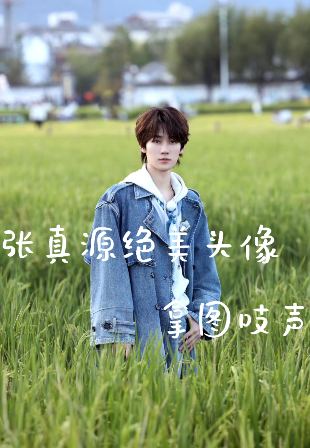 张真源绝美头像,拿图吱声