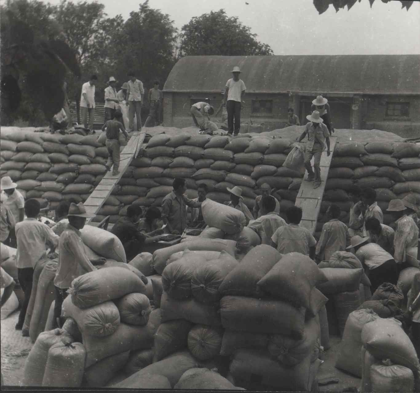 1999年八月份,在江西丰城有一位周姓农民,他鉴于当时农民生活艰辛