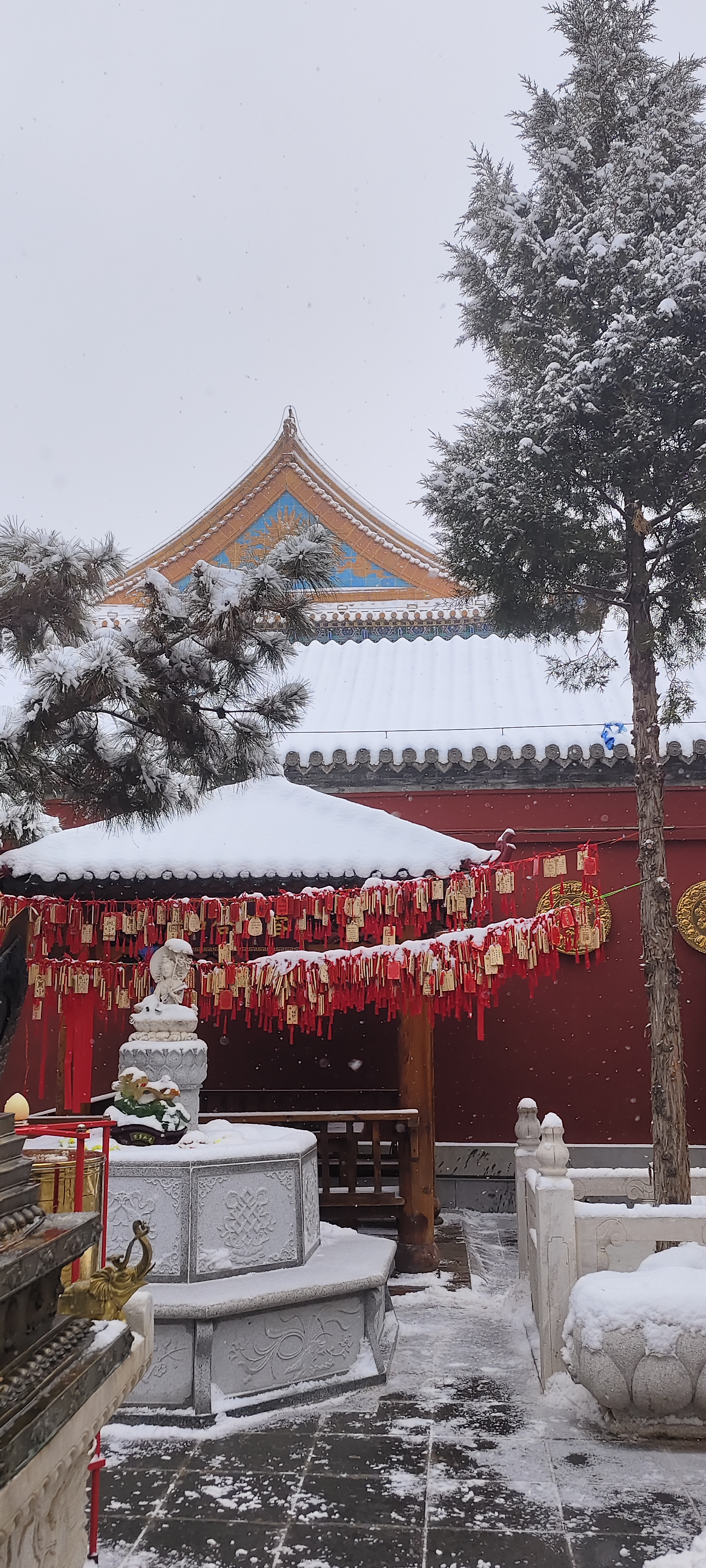 雪后的呼和浩特大召幽静,景色也更好看了!