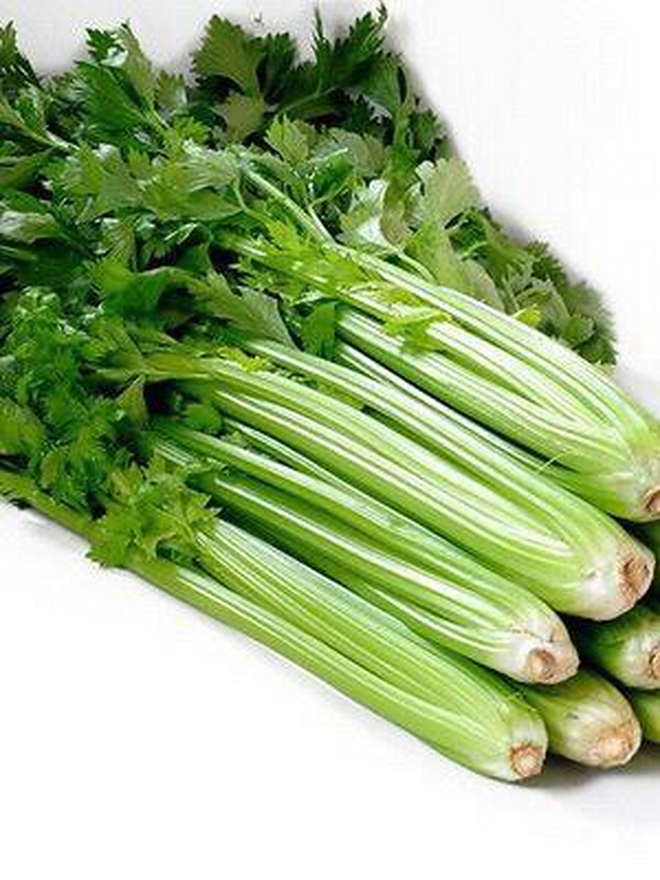 芹菜(专入肺胃肝).地出.有水有旱.其味有苦有甘.有辛有酸之类.