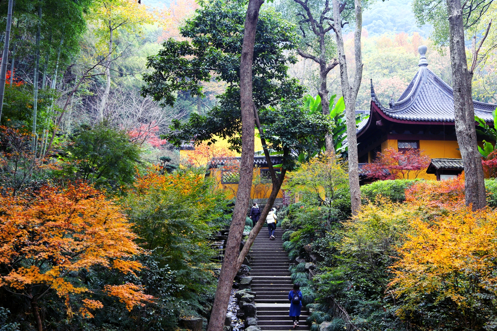 杭州永福寺壁纸最美寺庙杭州冬天的文字图片中国最美寺院杭州 永福寺