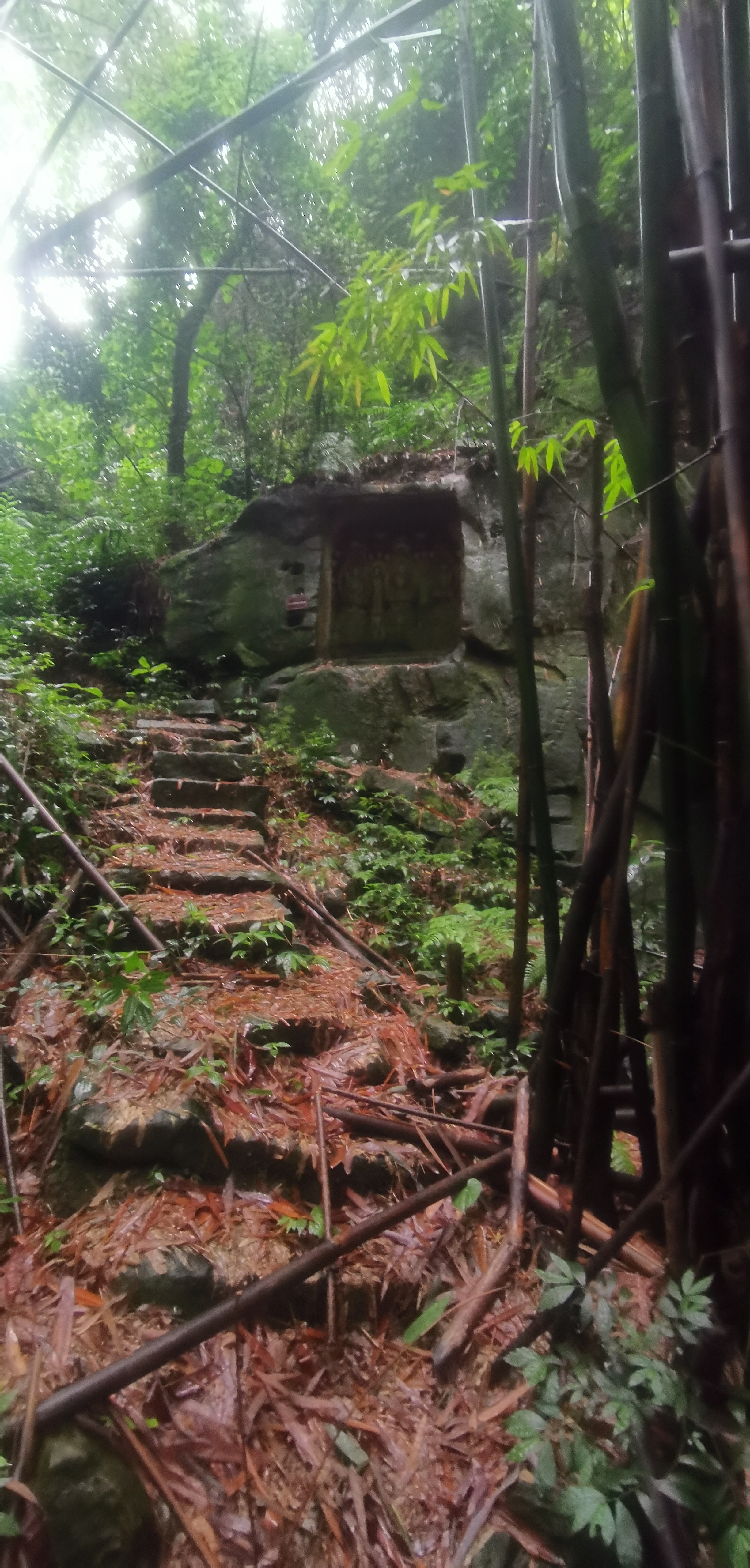 造像                 准确位置在 佛儿岩路旁边下去100米水沟旁边