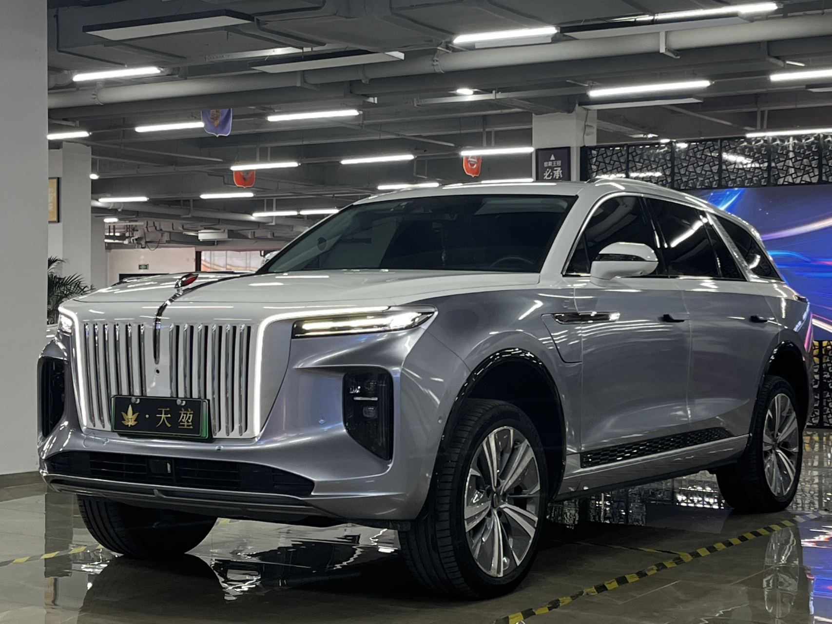 红旗e-hs9 2021款 510km 旗畅版 六座