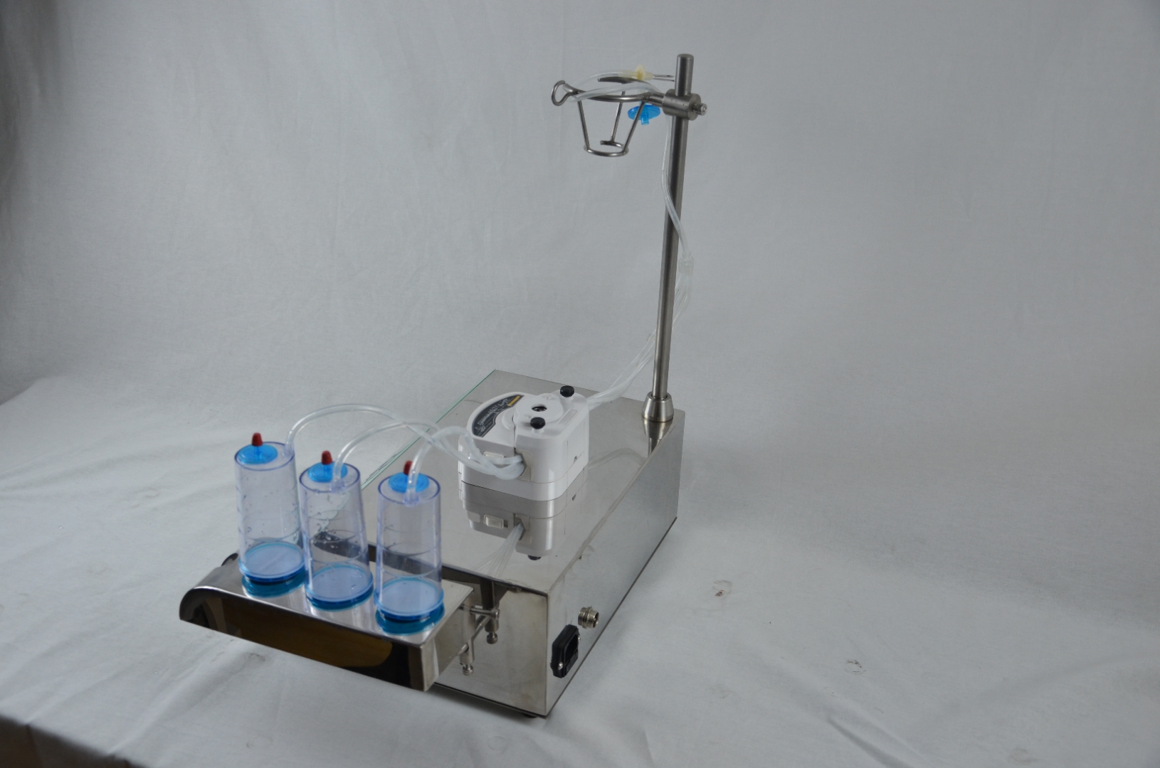 yy.vip易游-一根方竹笋的“破圈”之旅