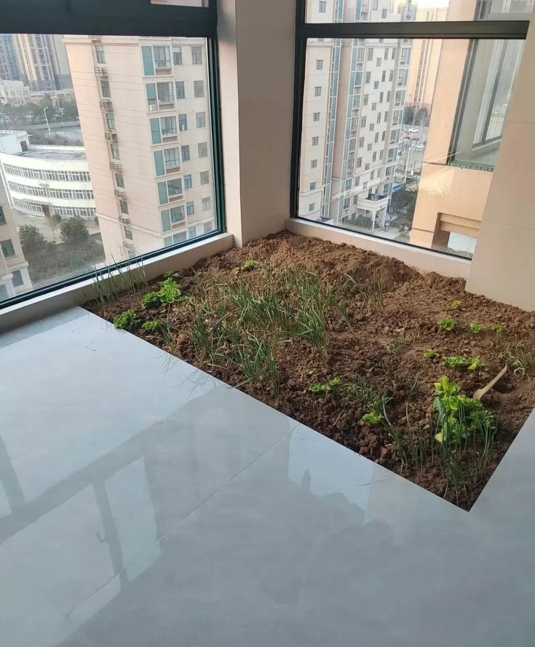在客厅挖了块地,打算做好防水,搞个小型的生态圈,流水呀,苔藓呀,养鱼