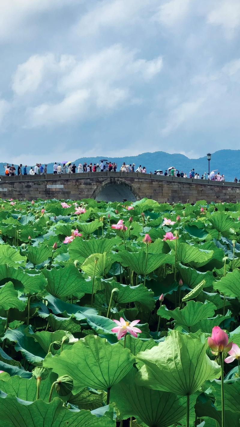 五一国内旅游景点推荐图片