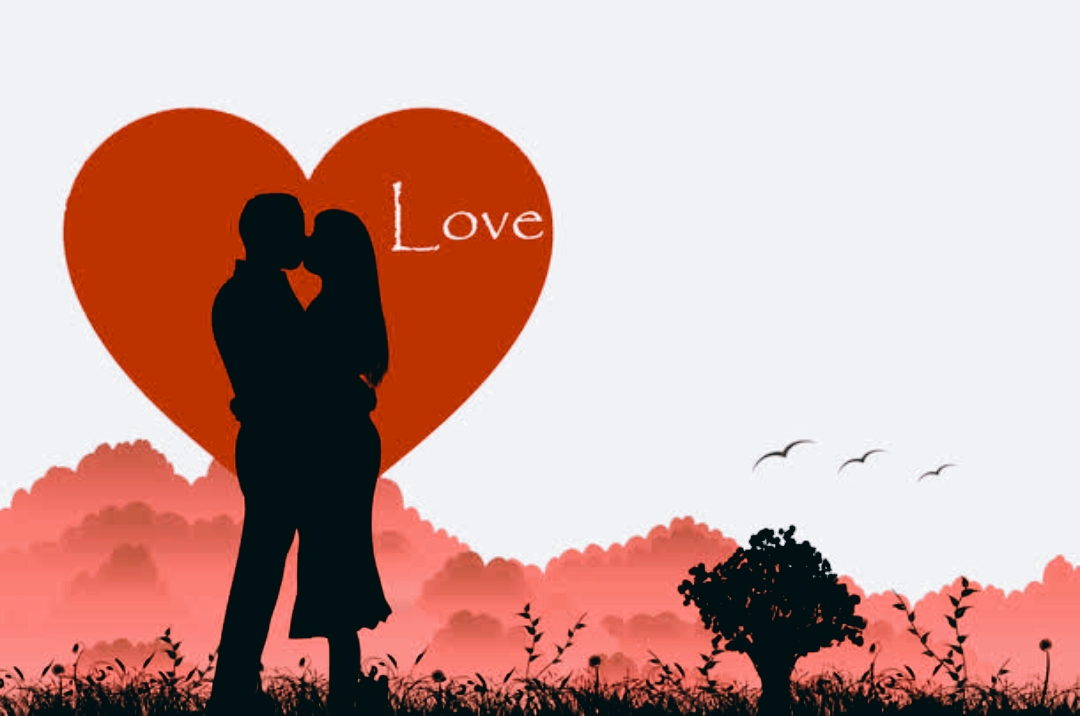 爱恋爱恋是什么歌恋爱秘籍