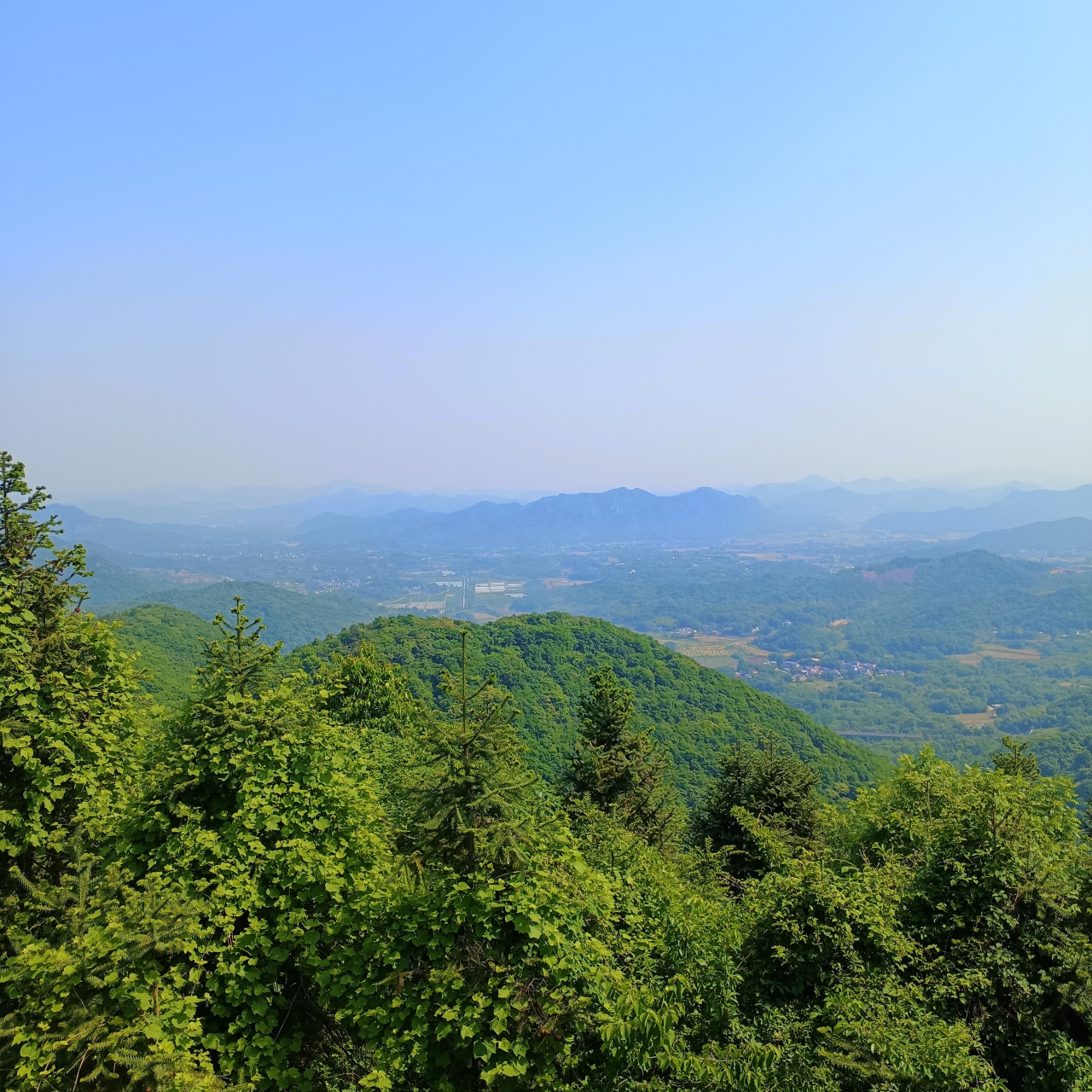 周未徒南陵大工山                  徐卫忠  远山白云深,驱车花塘岭